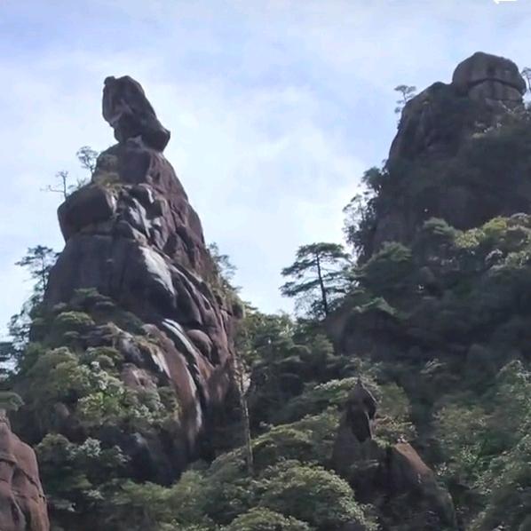 生活苦得想加糖