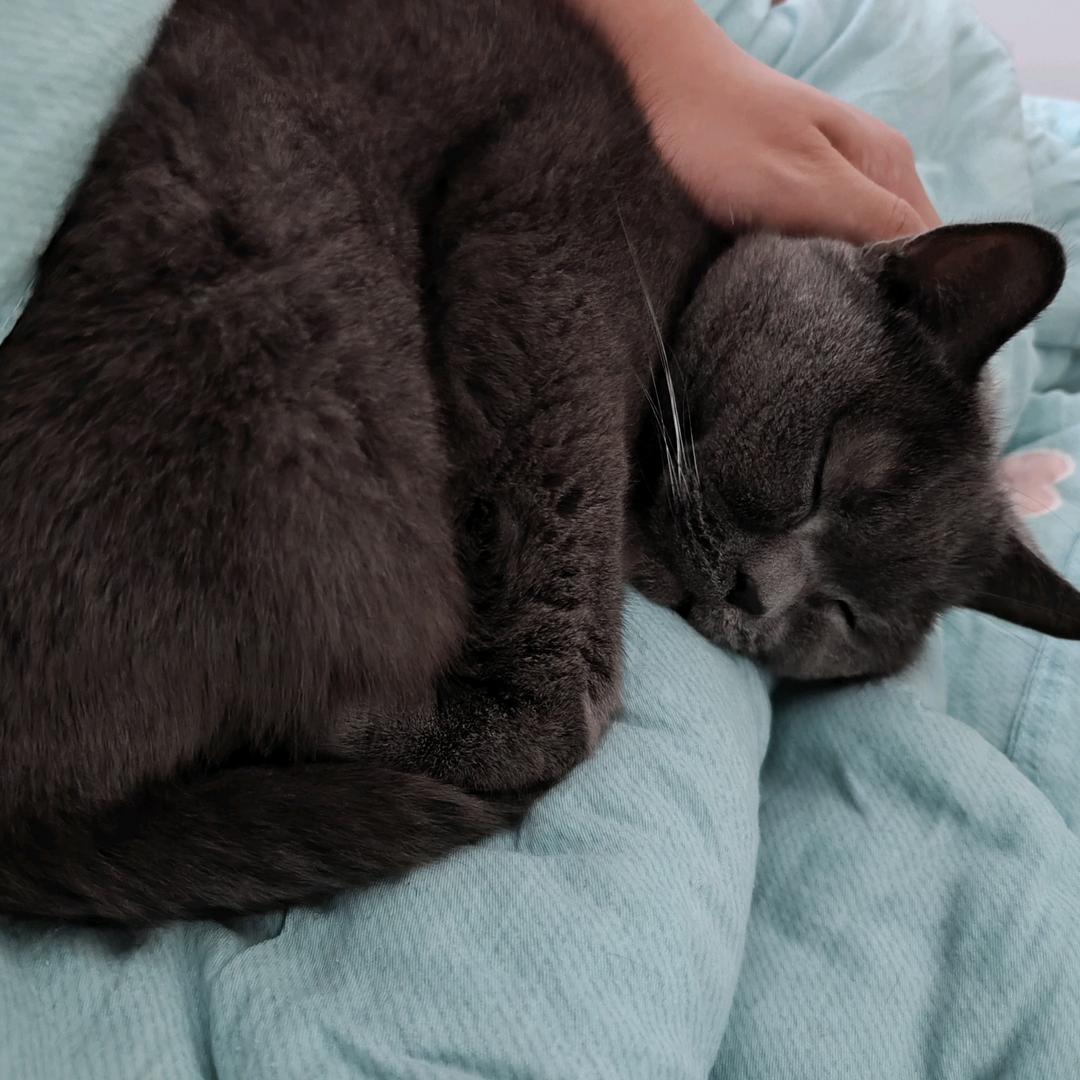 匿名用户16737373