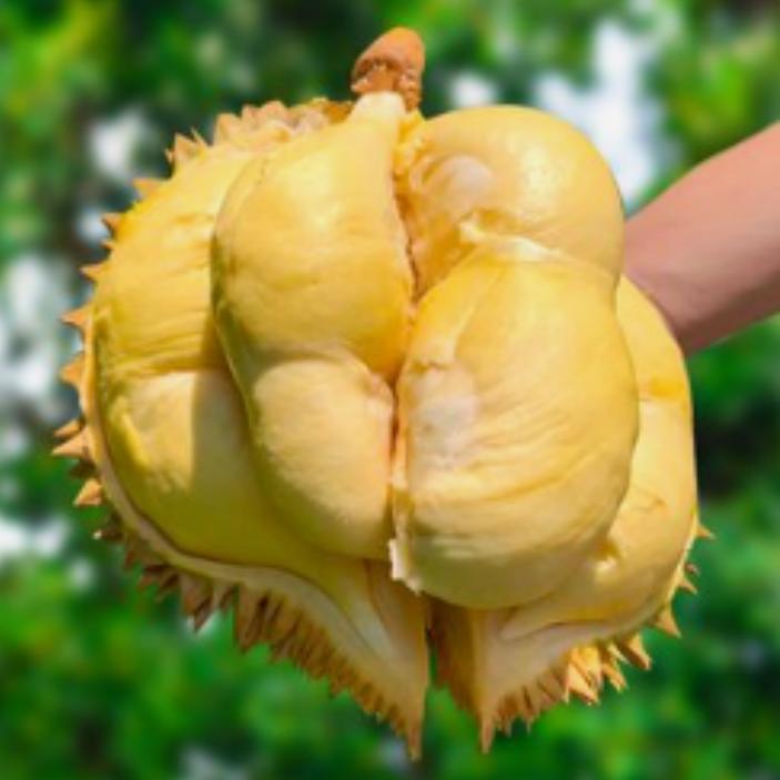 黑马优果小时达同城配送9号