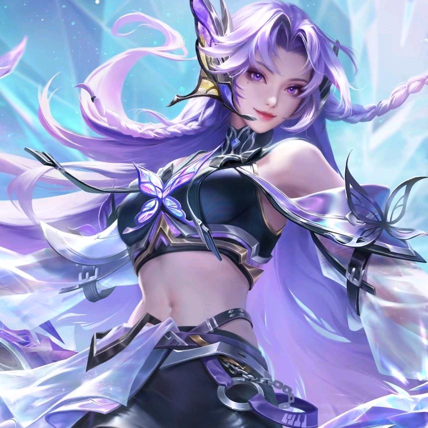 海豚小刺客