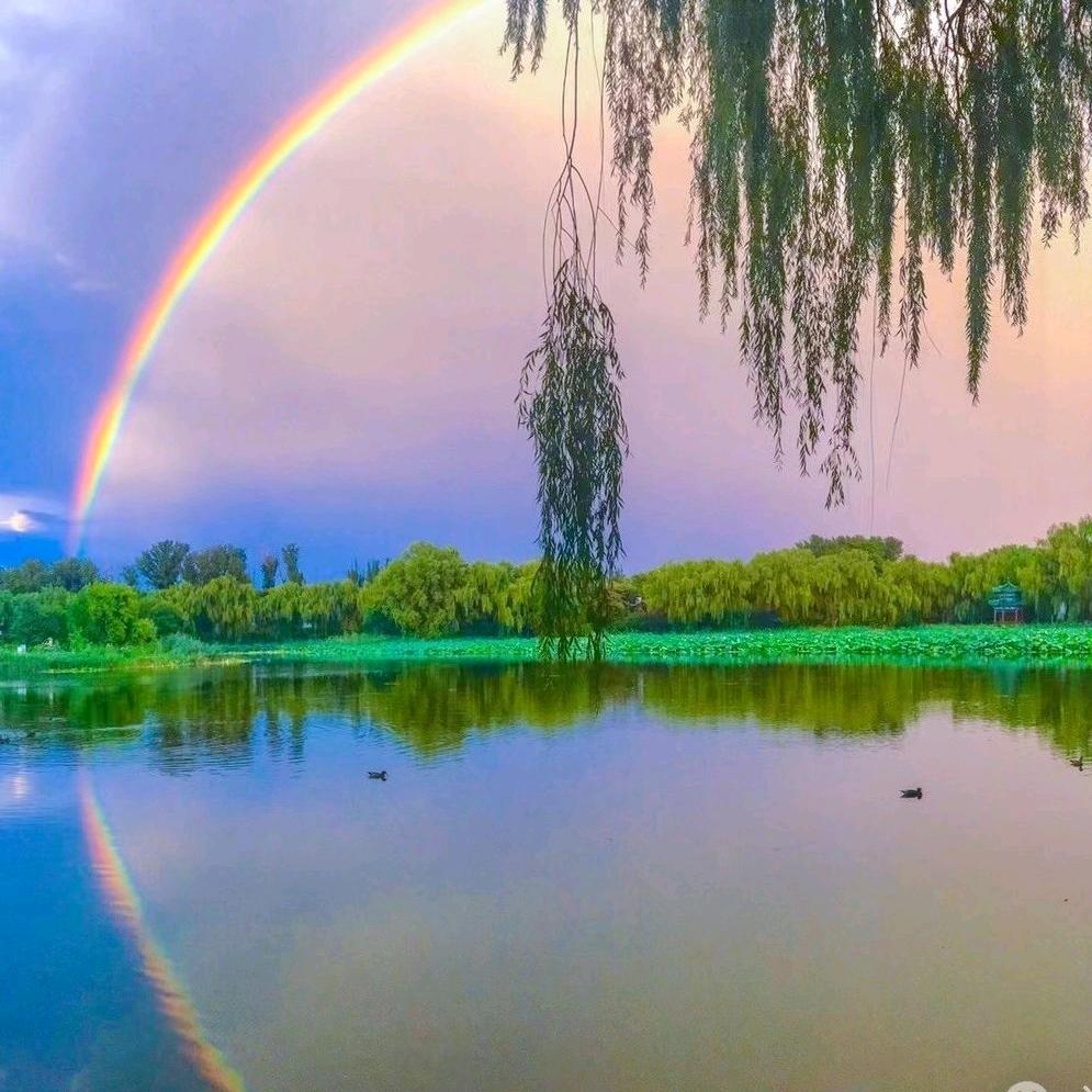 ℒℴѵℯ🥀🌧雨后🍓的彩虹🌈᭄࿐