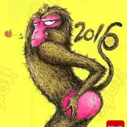 满山的猴子🐵我腚最红