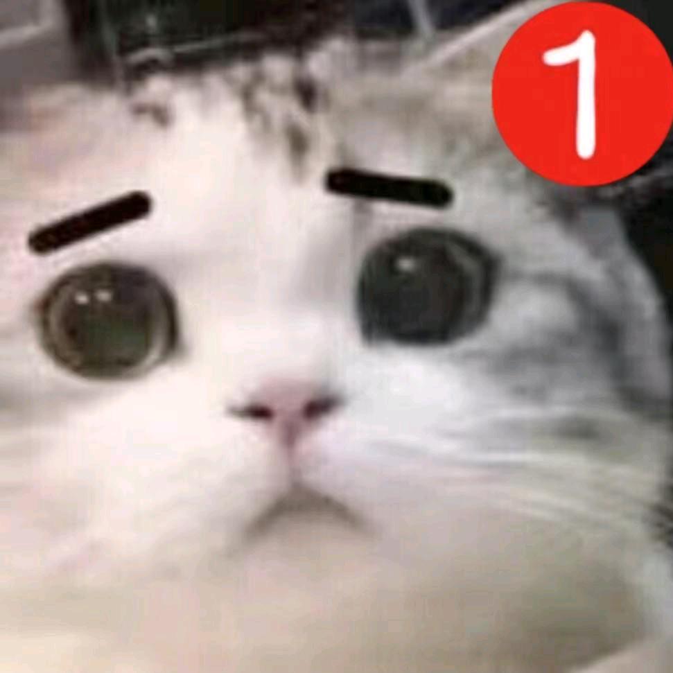 瓜叽(双机)