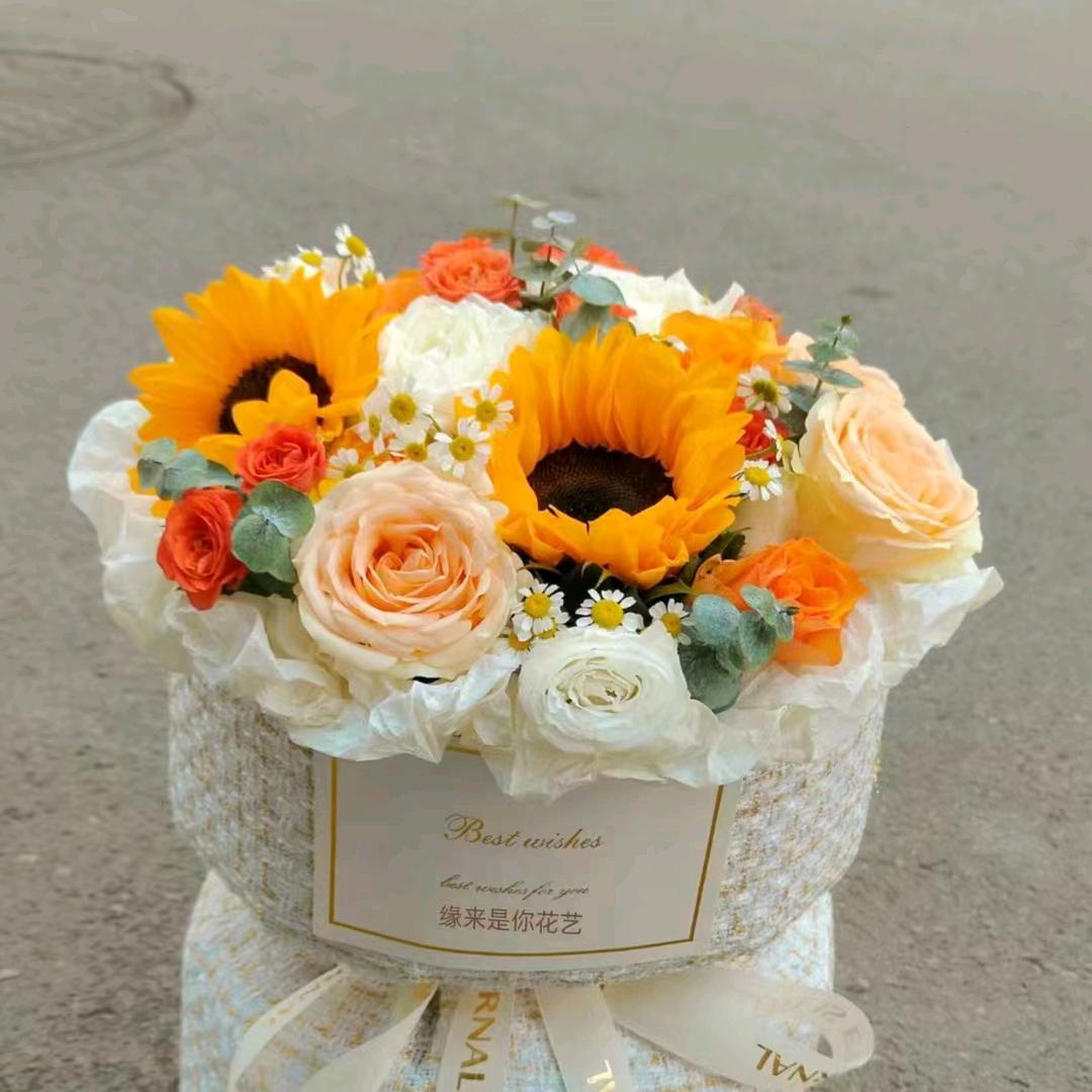 琼花星海