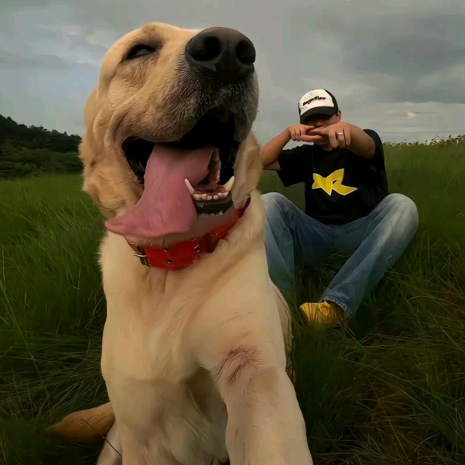 我的情绪被山治愈