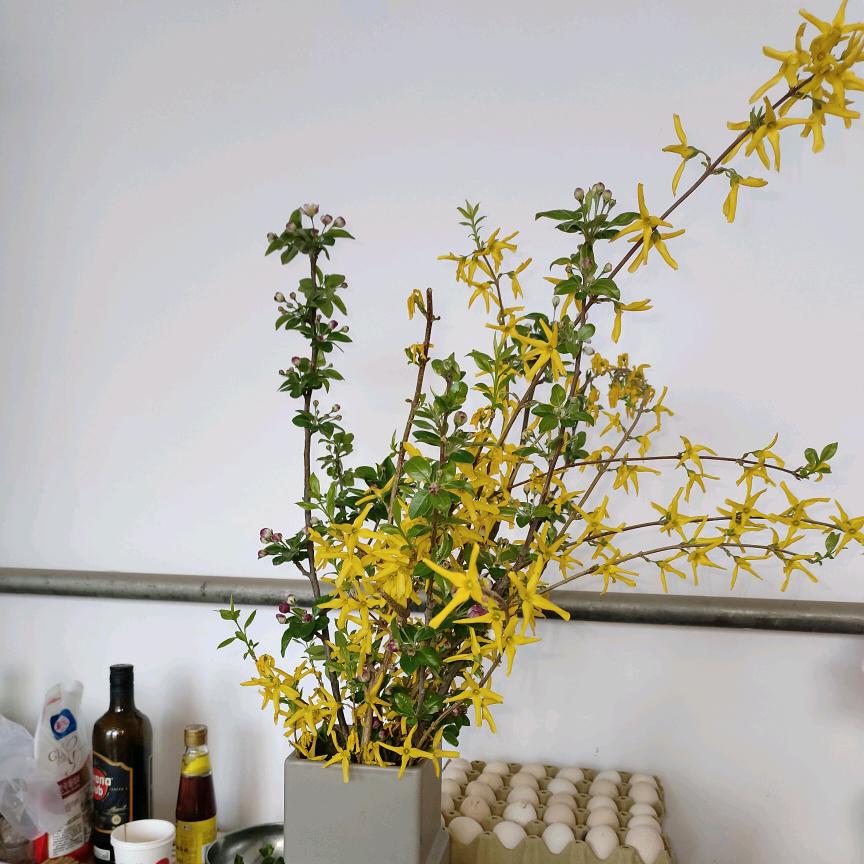 冯小厨低卡美食