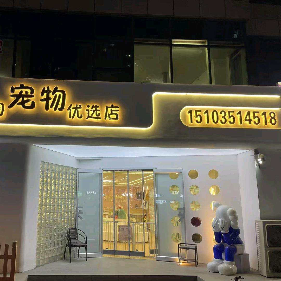 撩猫逗狗优选
