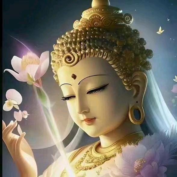 感悟🙏人生