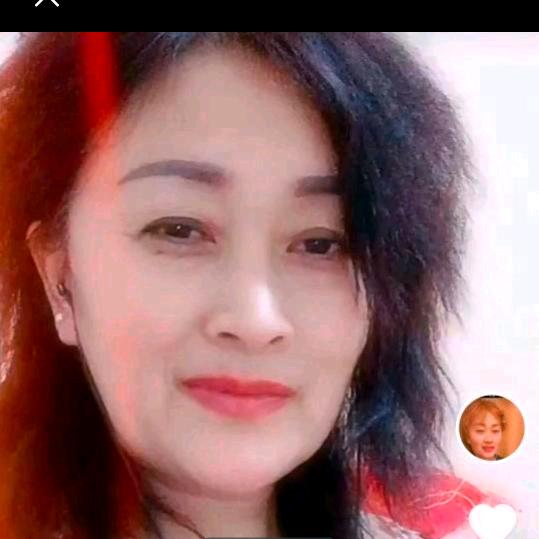 杨冬梅