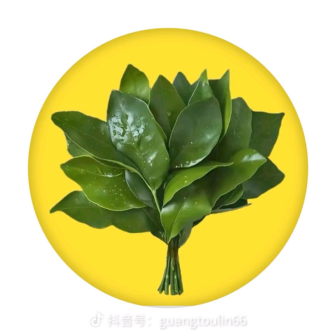 如是我闻