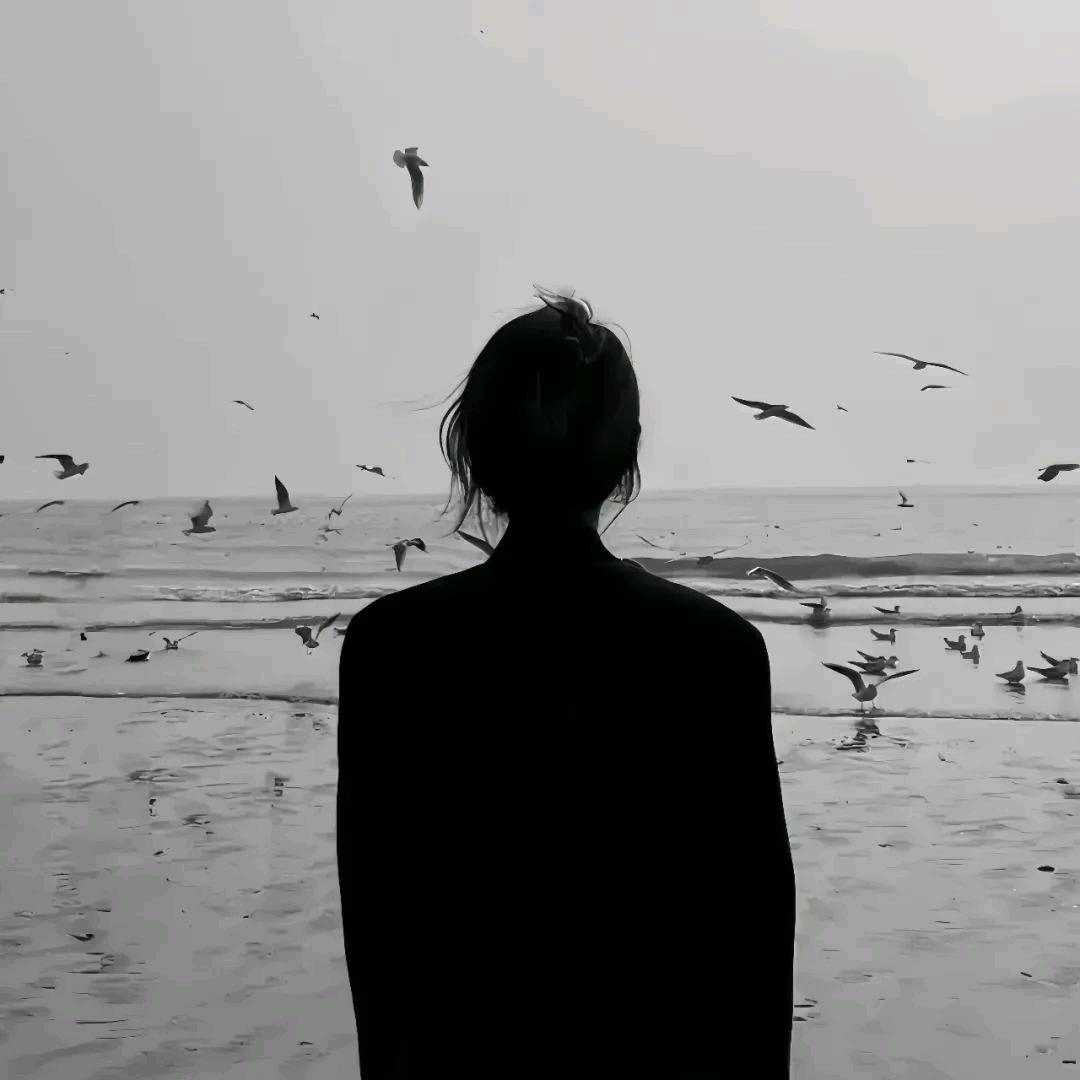 爱吃土豆的崽