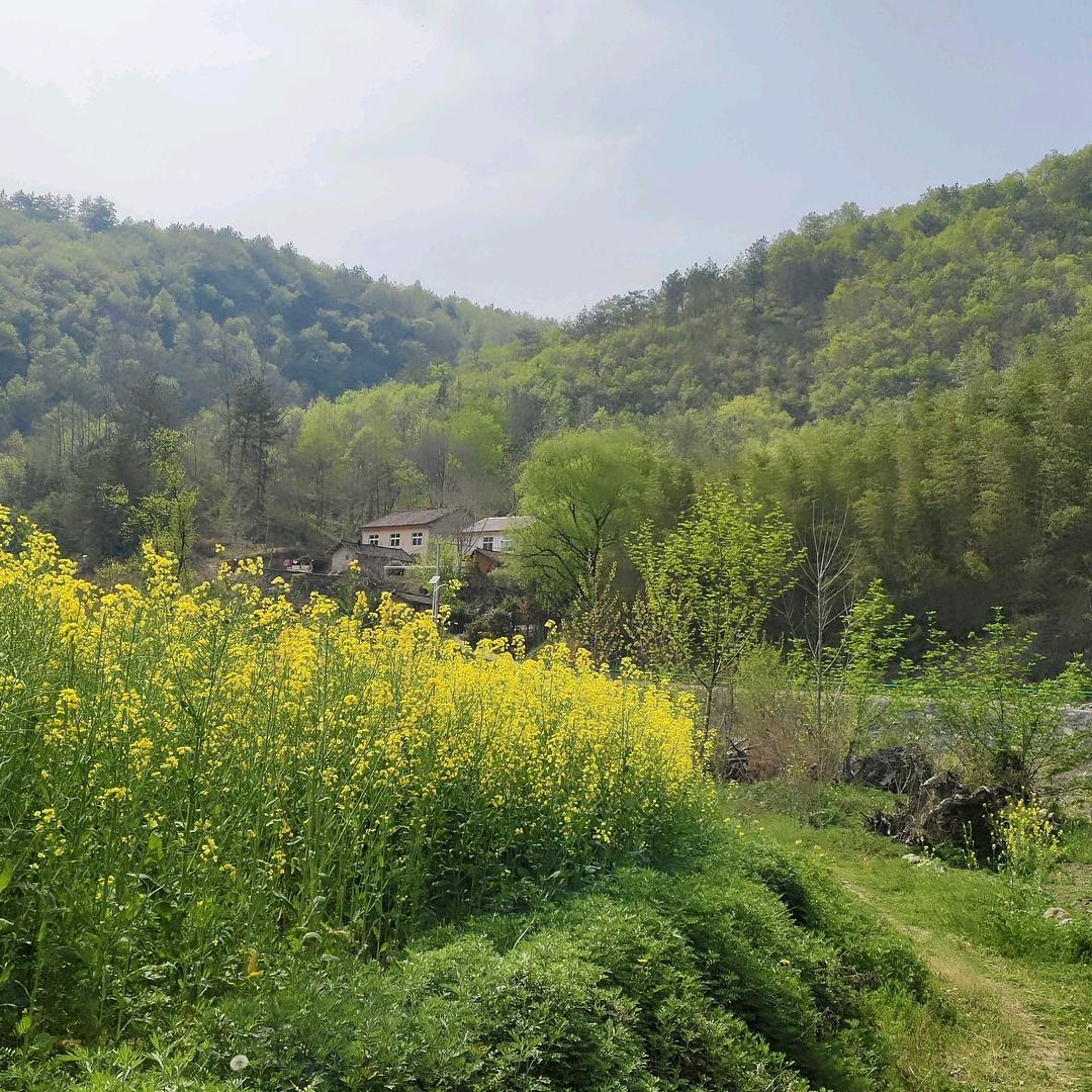 多财多亿💰💰💰