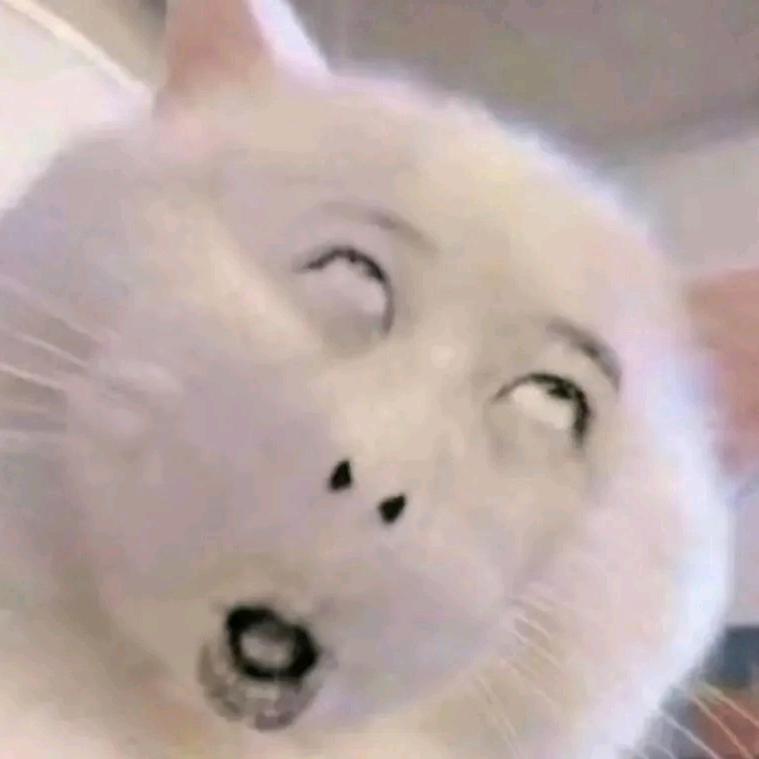 包包