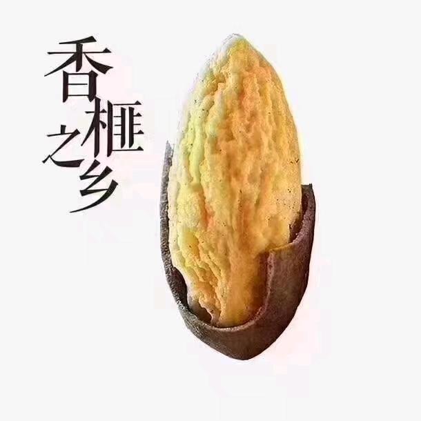 翠生园香榧