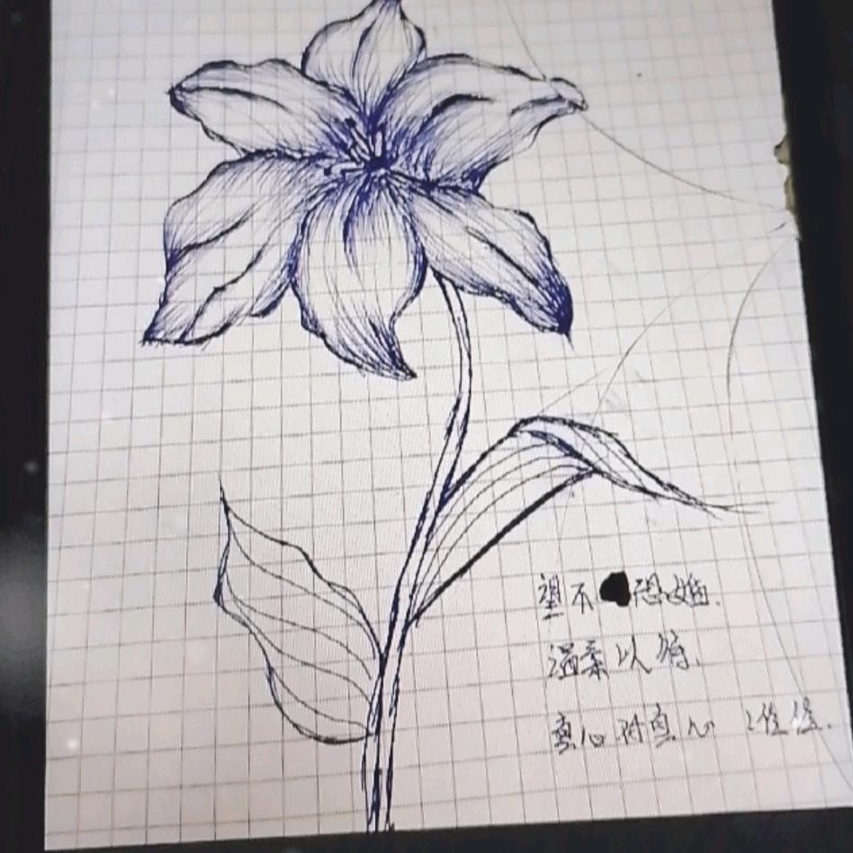 乘风破浪