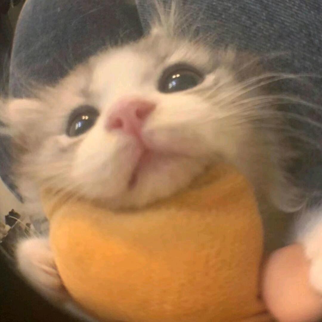 哎呦~！