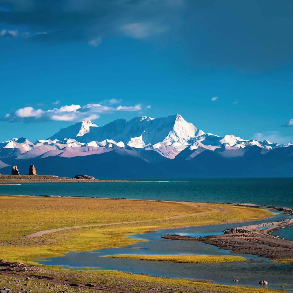 张玉芳（19：20）晚上直播