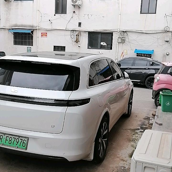 树叶