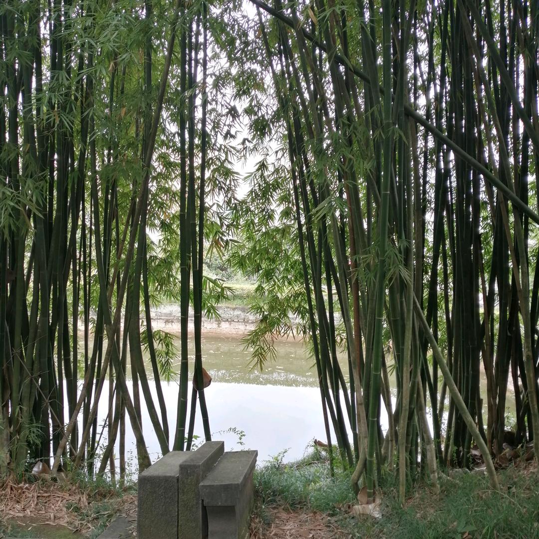 许君与山河