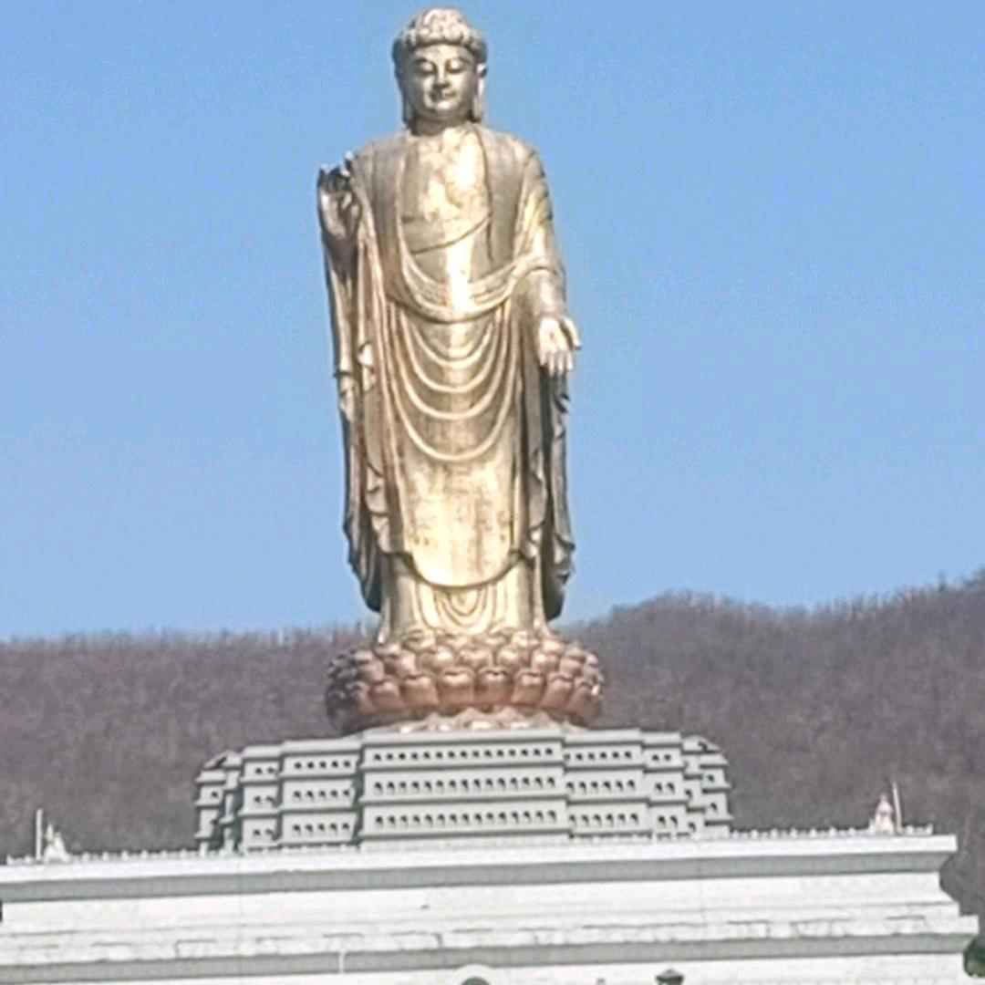 苦乐百陪