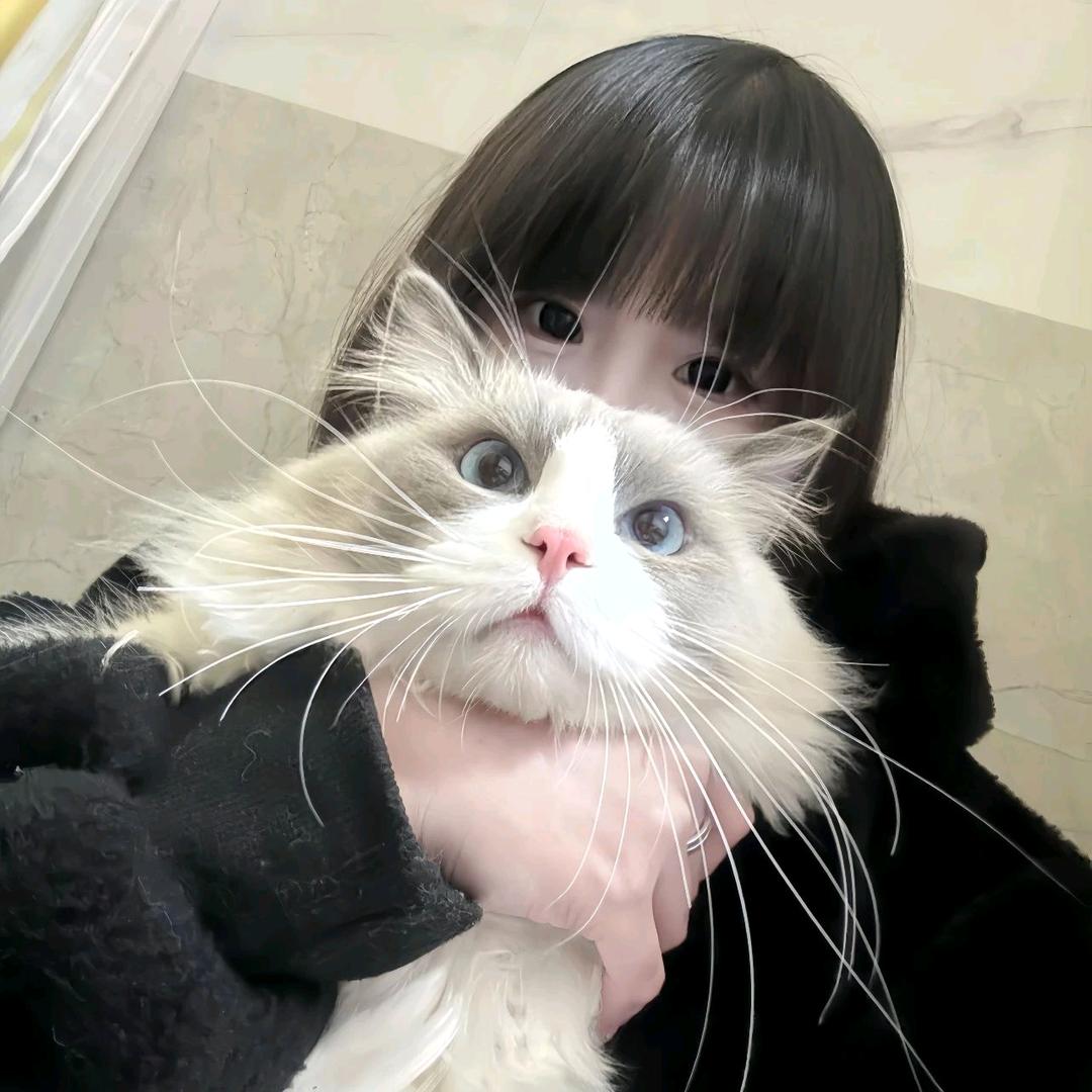 ᴹᴱ.