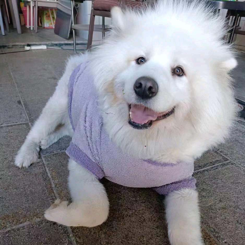余小俊