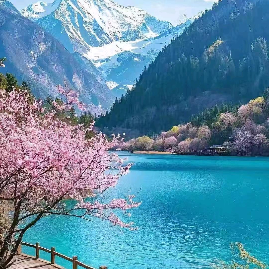 宝鸡芭玛乐家政服务