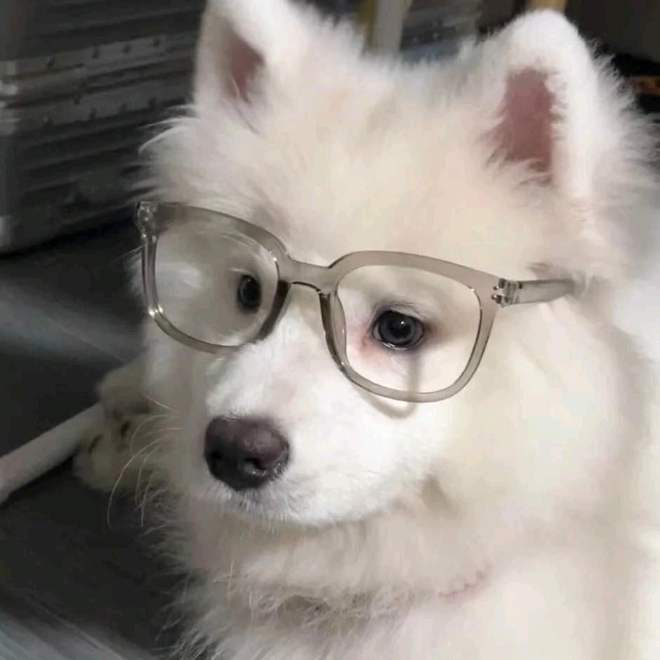 ネф̶ イω