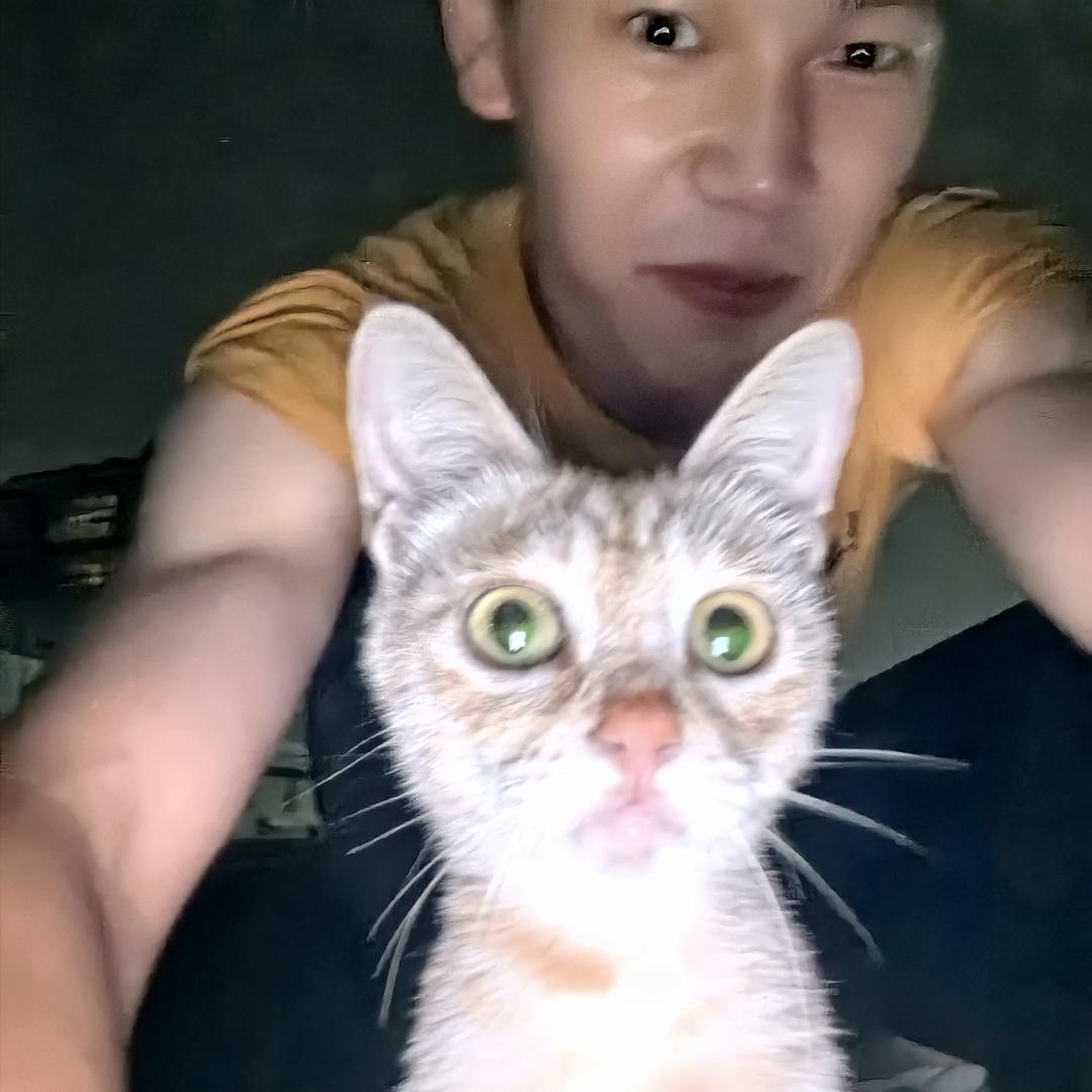 养了一只羊