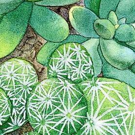 女拖拉机了几分