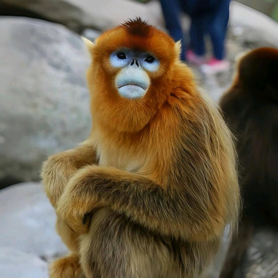 怀念过去