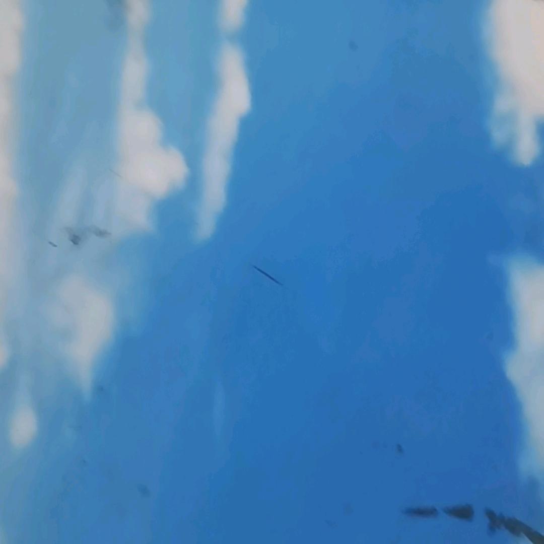 🦋宾宾🦋