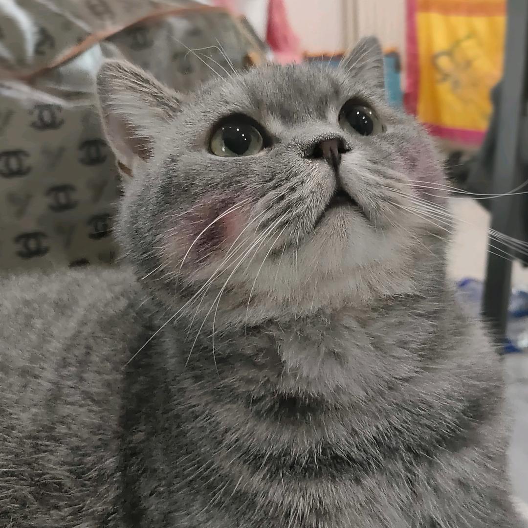 安安安安安安子