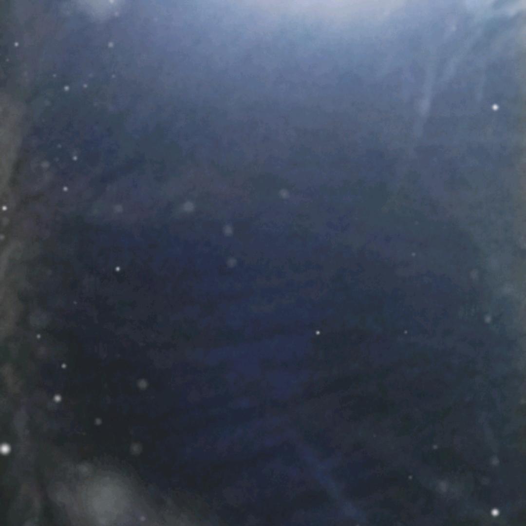 平和喜悦和小小咪。