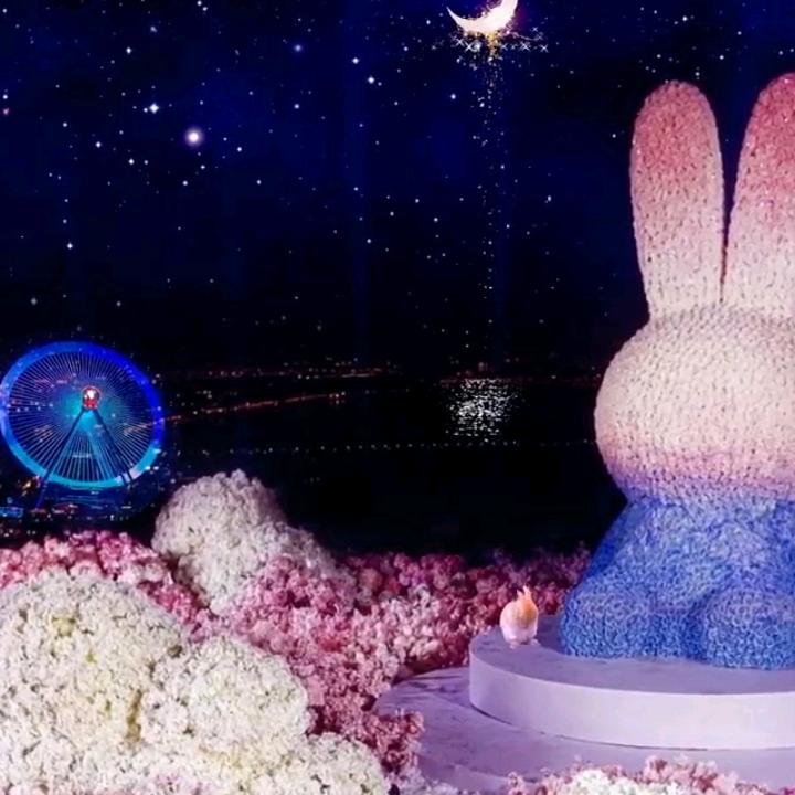 可愛的寶貝