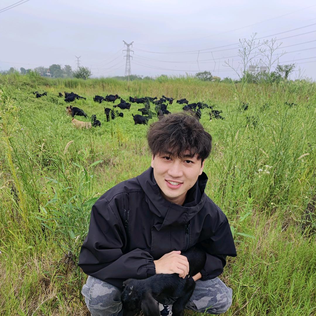 湘潭易俗河阿赐黑山羊（正宗跑山羊）