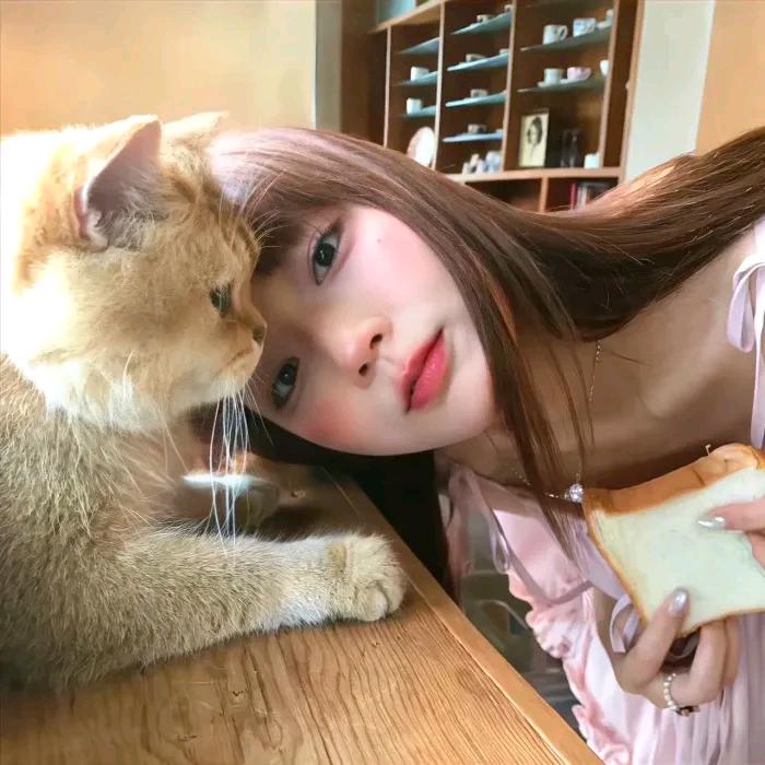 宝宝巴士