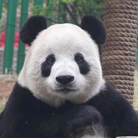 阳光头像