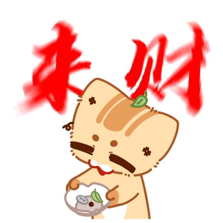 庆东纳碧安壁挂炉