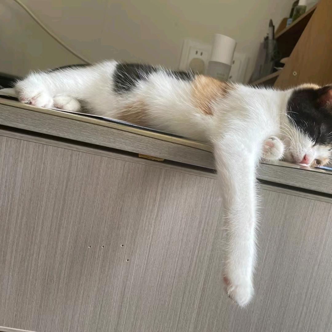 🥀ღ᭄ꦿ꯭往事归零🥀ღ᭄