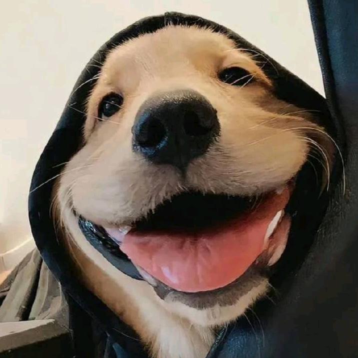 三一