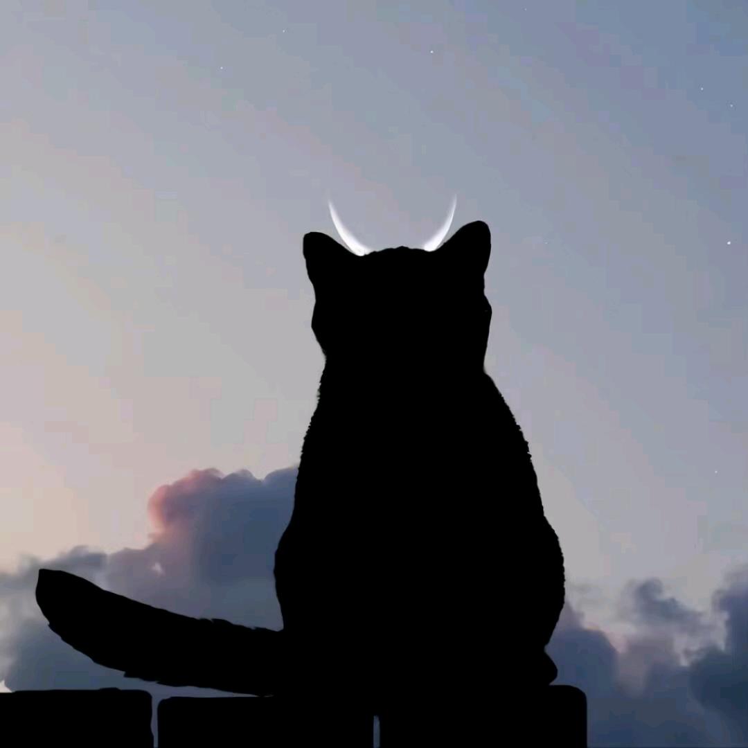 新光party.K༒小鹏