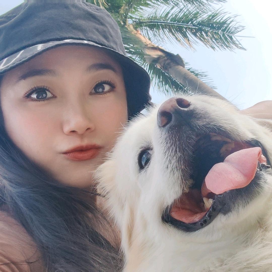 好运汪汪来