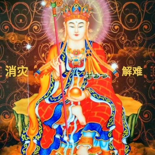 启英子7c