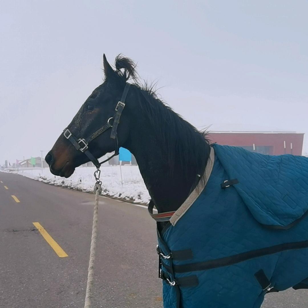 aydoc413👻