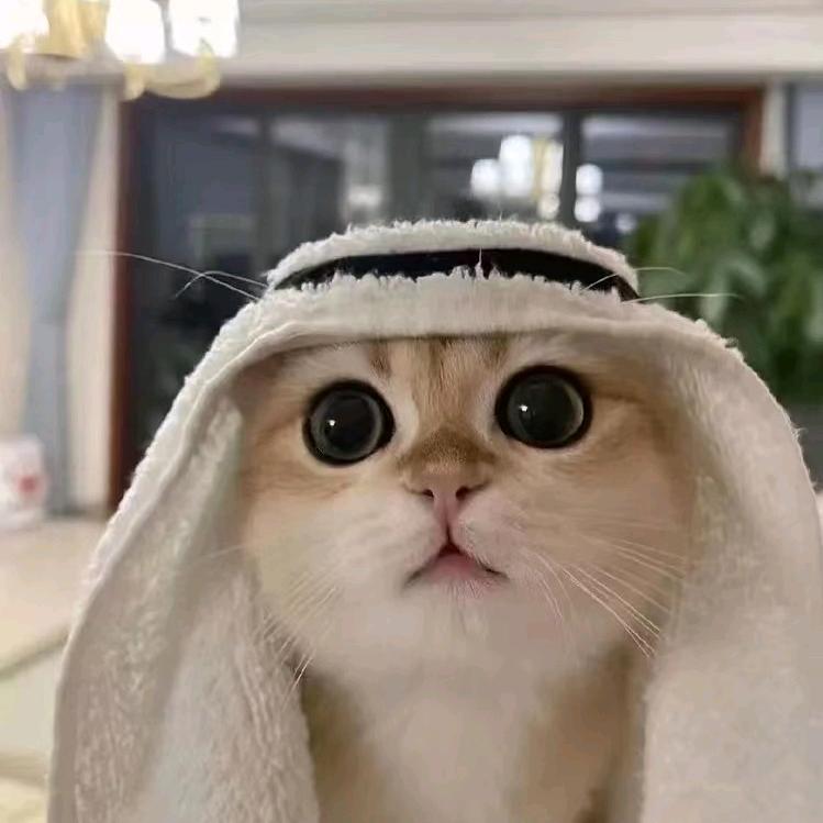 金柒峻