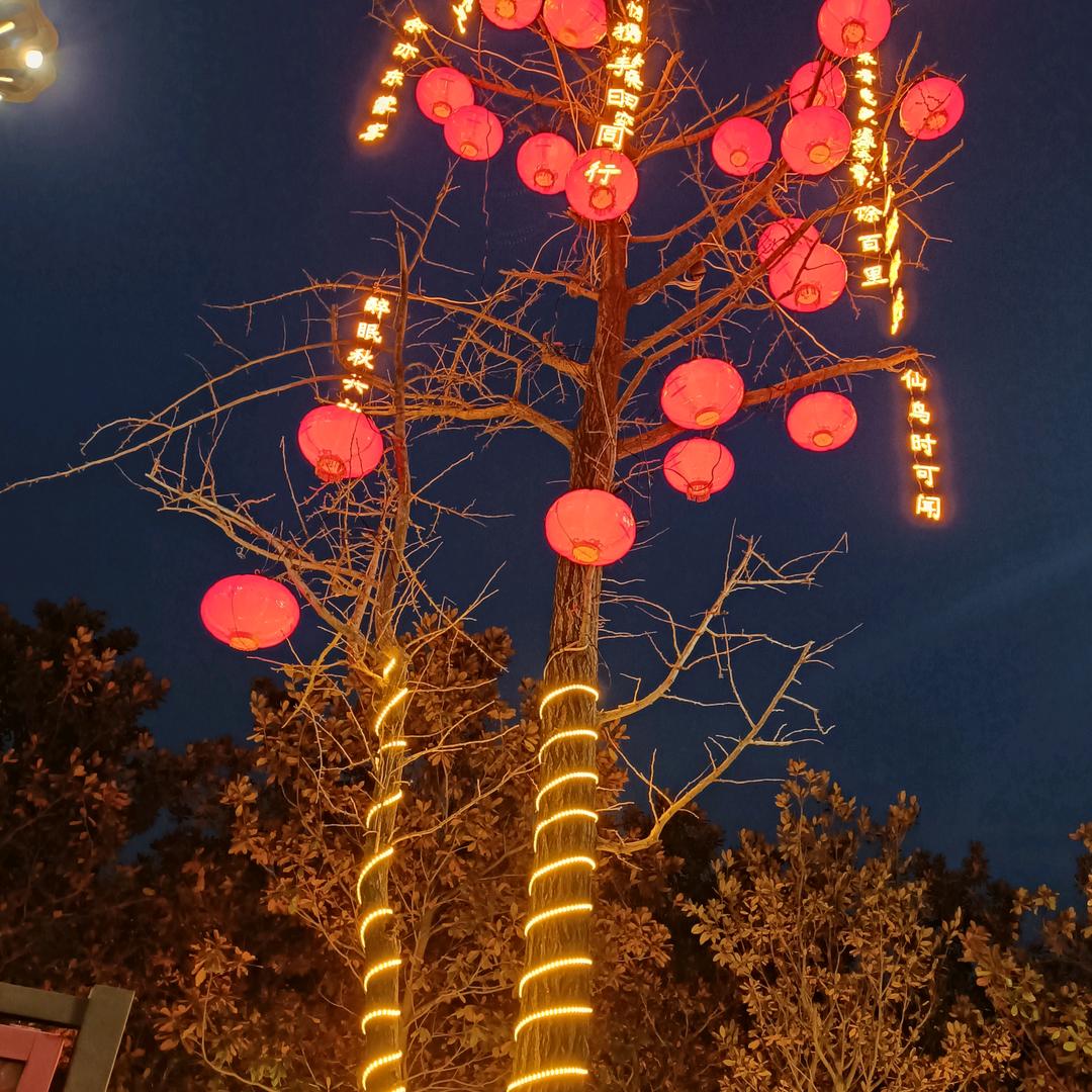 爱在深秋