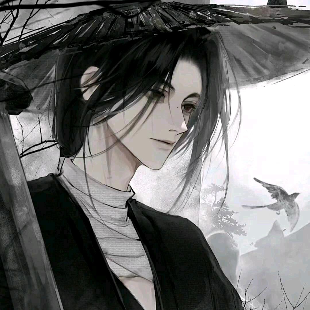 -卷心菜