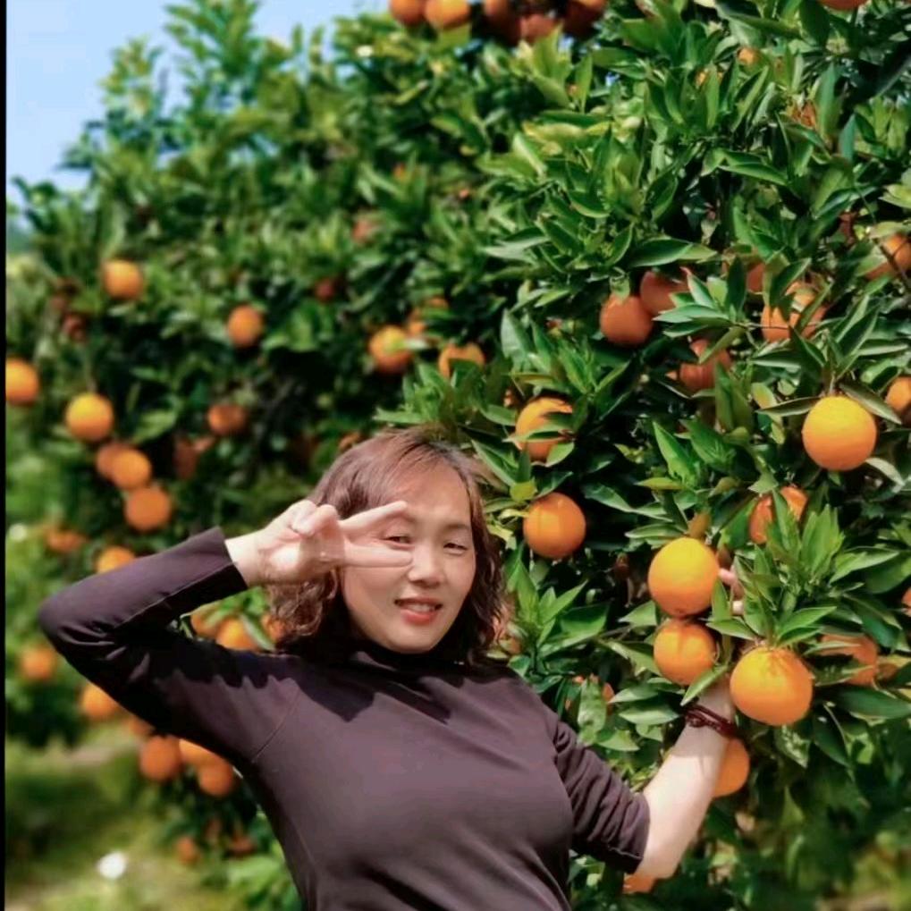 龙芳姐🍊