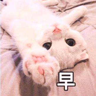 求实